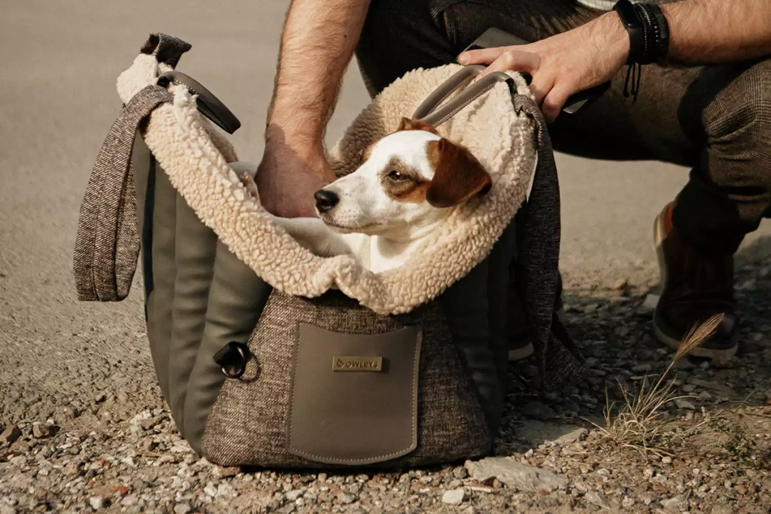 Dog Carrier Purse for Basenji