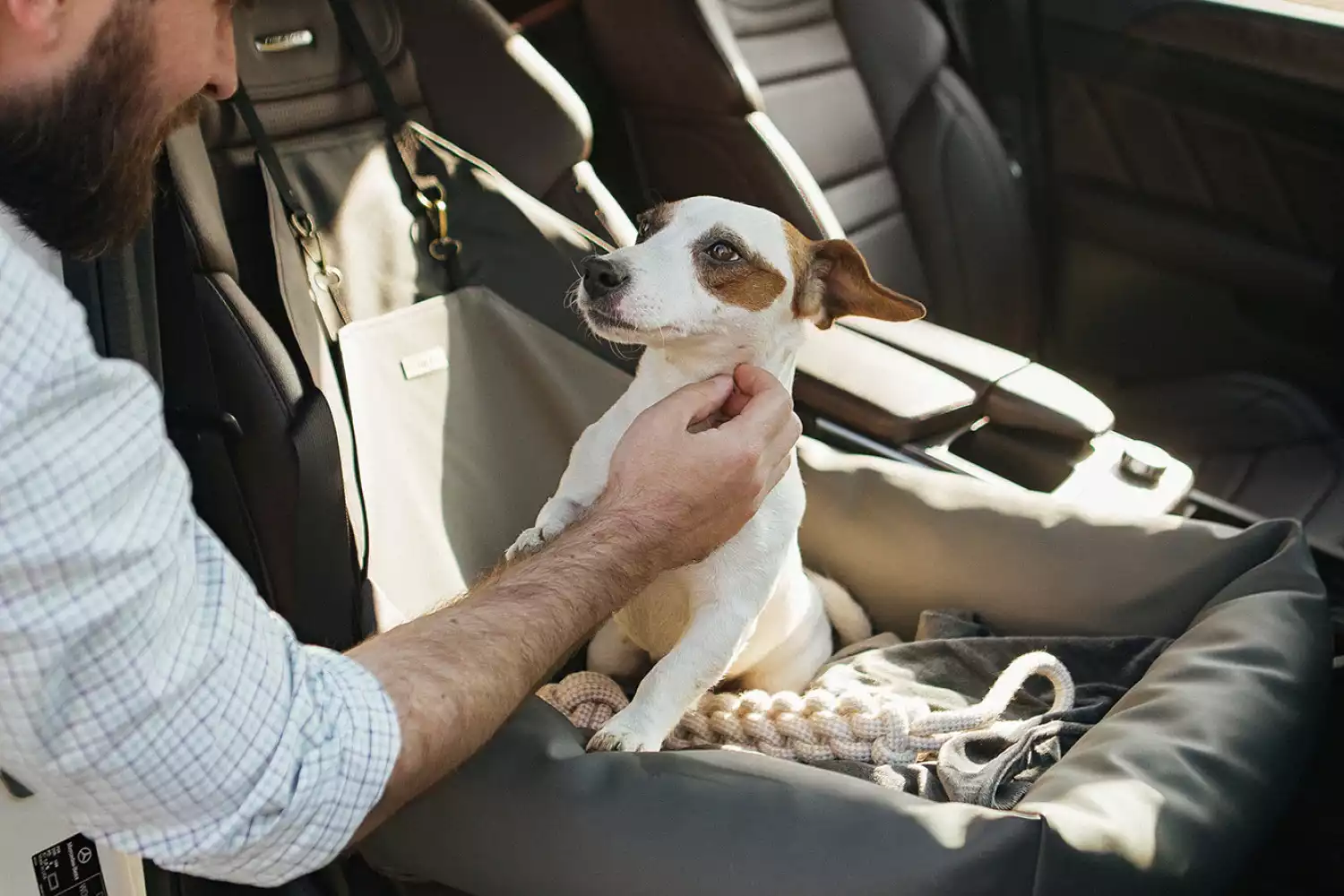 Kia Rio Dog Car Seat for Field Spaniels