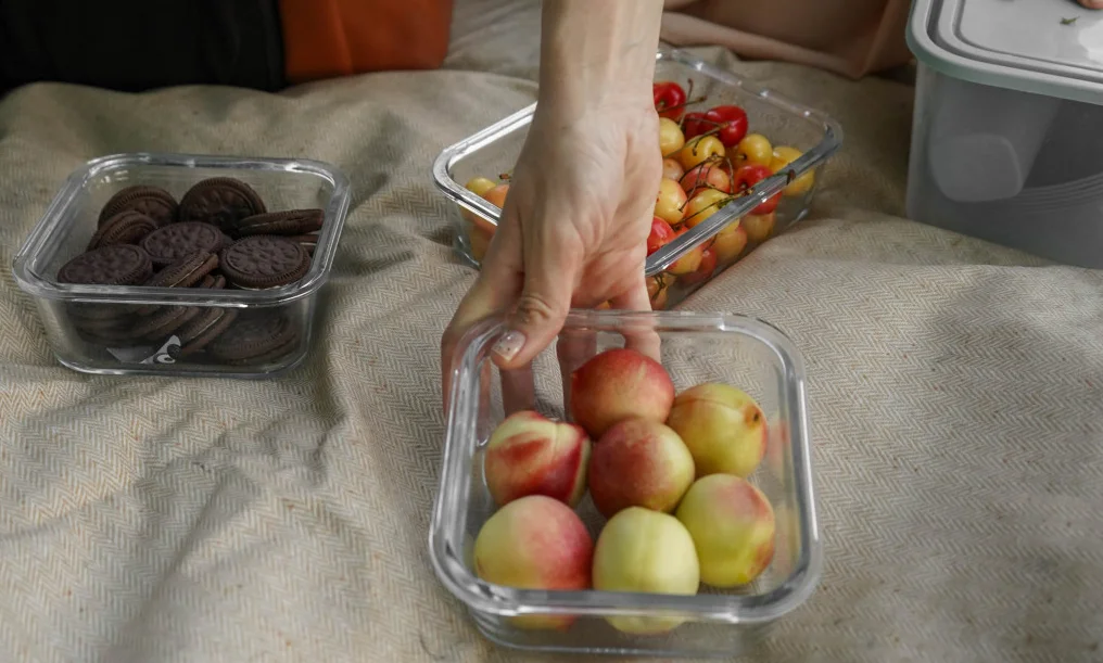 picnic blanket strap